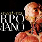 fantástico-corpo-humano