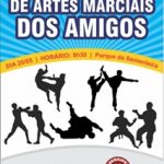 amigos karatê II