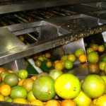 suco de laranja congelado